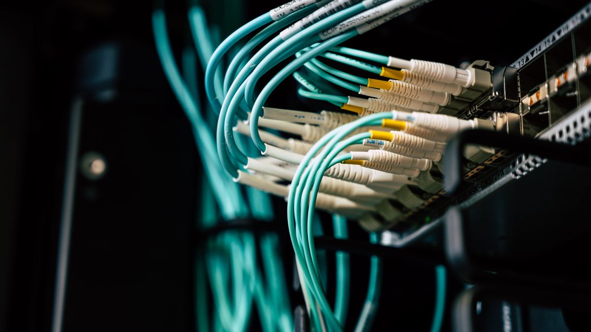 Cables de fibra óptica de color turquesa conectados a un panel de un armario de red